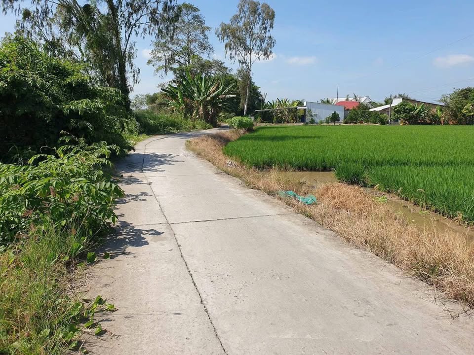 Đất nông nghiệp 16145m² tại Đông Thuận, Thới Lai - Mặt tiền sông rộng rãi!