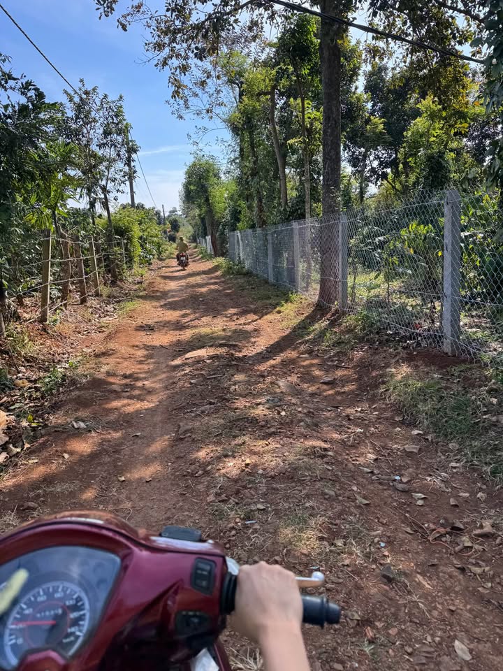 Farm Đường 6m, Phường Ea Tam, 6120m² - Đầu tư sinh lời hấp dẫn!