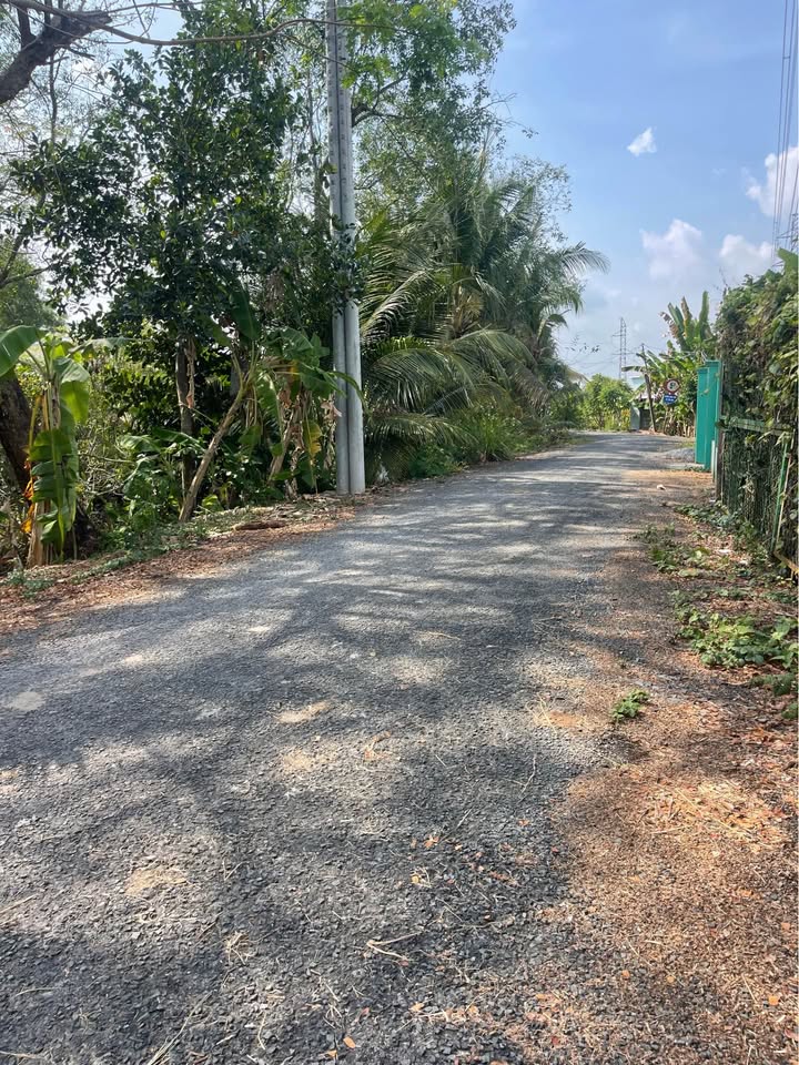 Đất vườn Phường Tân Ngãi TP Vĩnh Long 554m² - Mặt tiền đường nhựa ô tô quay đầu!