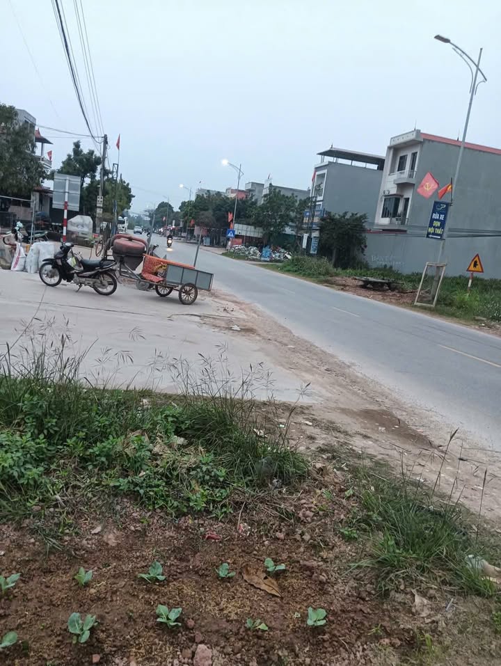 Đất nền 100m² tại xã Tân Thanh, huyện Lạng Giang - Bán gấp chỉ 2 tỷ!