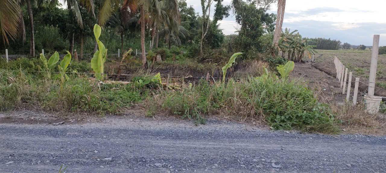 Đất vườn mặt tiền đường Kênh 10 Lê Minh Xuân 1000m² giá 3.9 tỷ - Sổ hồng riêng, xe hơi vào tận nơi!