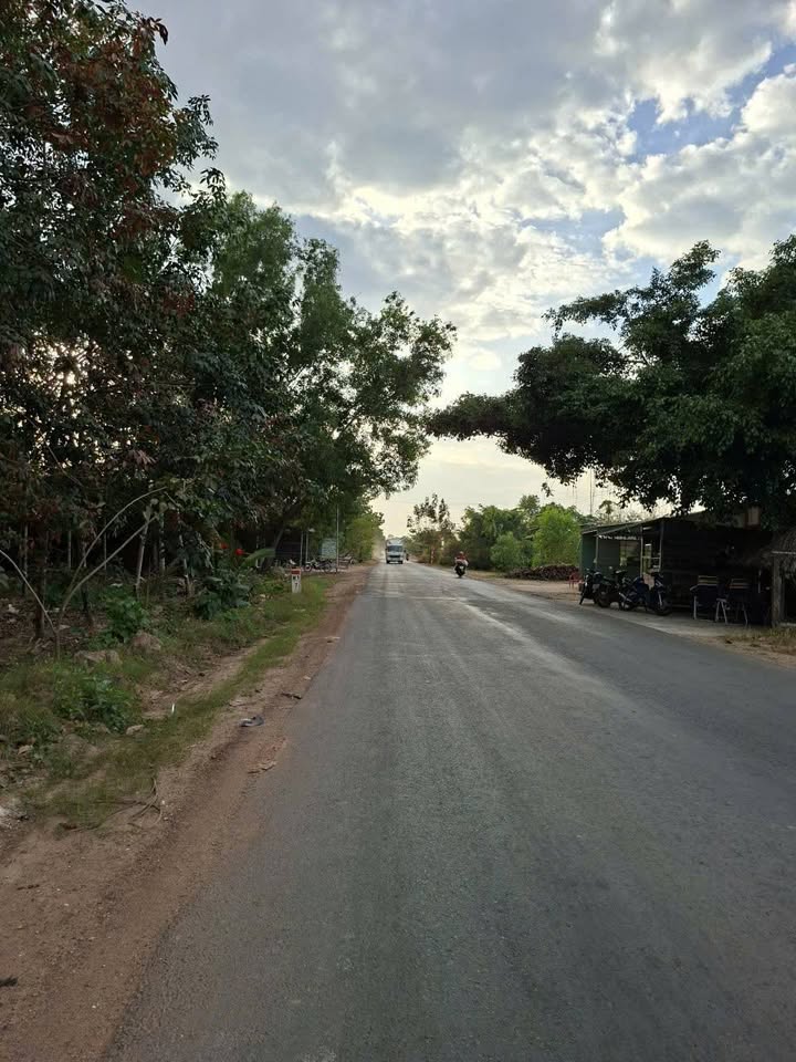 Đất cao su 20.000m² tại Thạnh Bình, Tân Biên, Tây Ninh - Mặt tiền đường 783, giá 5 tỷ!