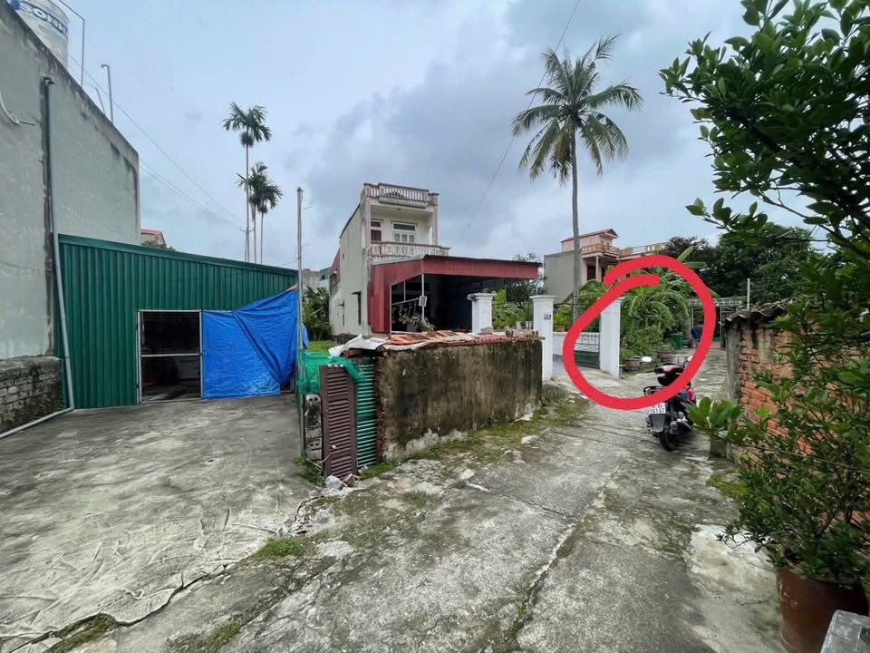 Đất nền 147m² tại Hải Thượng Lãn Ông, 1 tỷ - Đường rộng ô tô vào tận nơi!