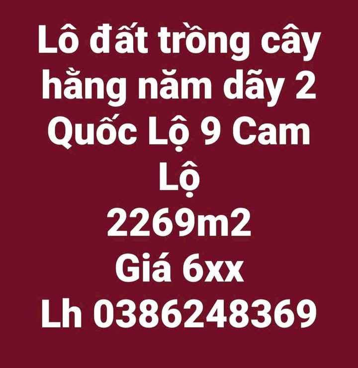 Đất vườn Cam Lộ 2269m² giá 600 triệu - Đầu tư sinh lời ngay!