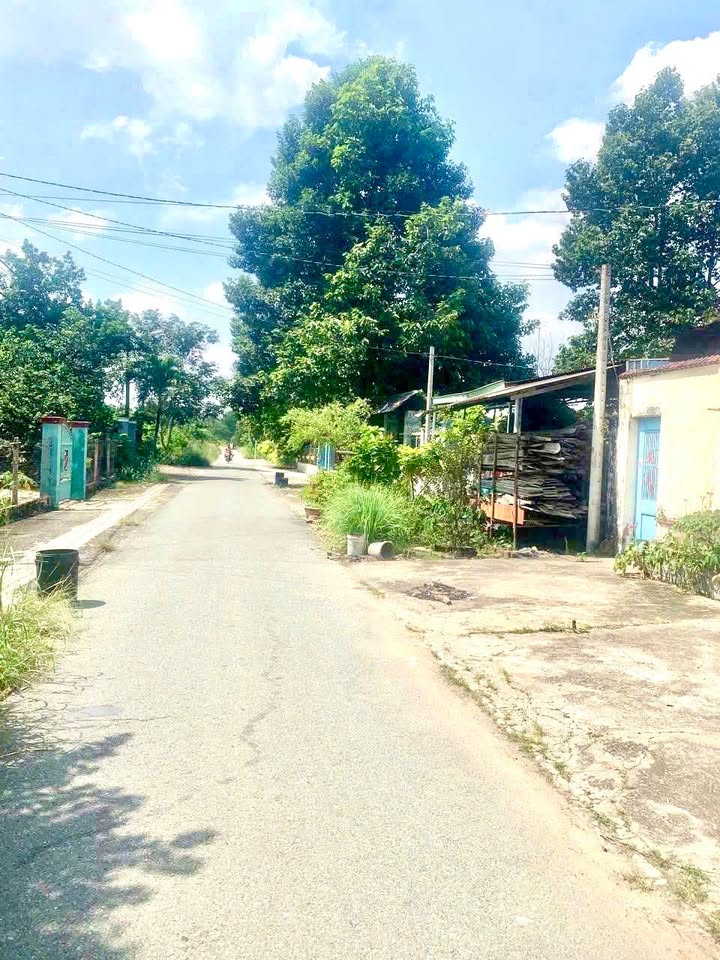 Nhà cấp 4 đường 489, xã Phạm Văn Cội, Củ Chi 530m² giá 4.9 tỷ - Gần chợ, trường học