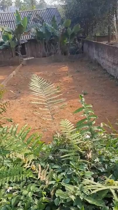 Đất nền khu 9, xã Cấp Dẫn, huyện Cẩm Khê 111m² giá chỉ từ 2 triệu/m² - Cơ hội đầu tư hấp dẫn!