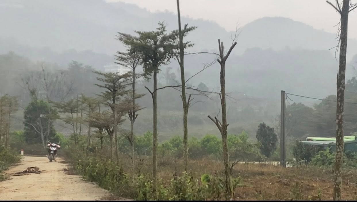 Đất nền Hòa Lạc 4700m² mặt đường TL446 - Cơ hội đầu tư hiếm có!