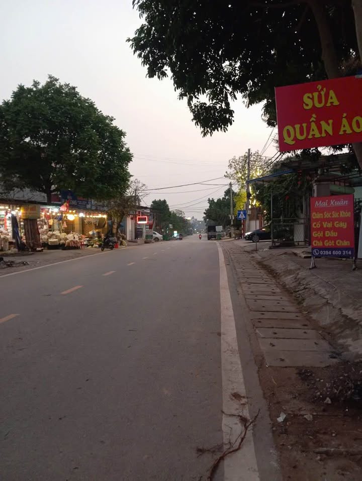 Đất nền mặt đường 261 Phường Bãi Bông 175m² - Tiềm năng kinh doanh lớn!