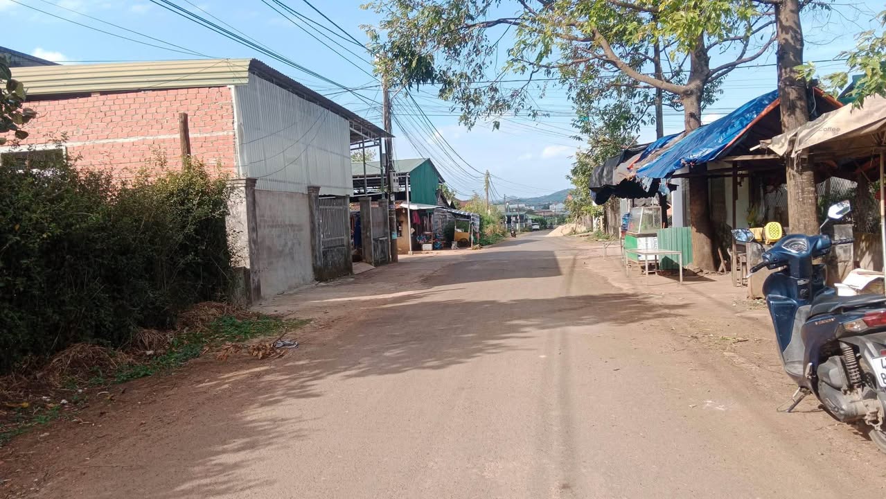 Đất nền mặt tiền đường nhựa Khánh Xuân 100m² giá chỉ 700 triệu - Đầu tư sinh lời!