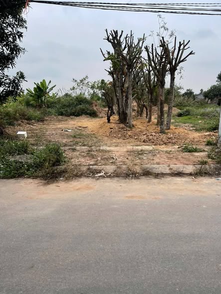 Đất nền Khu dân cư số 5 Phường Thịnh Đán 100m² - Vị trí đắc địa, đầu tư sinh lời!