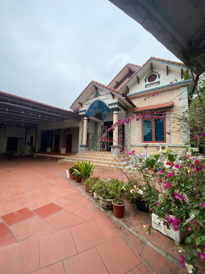 Đất nghỉ dưỡng 2550m² Tu Vũ, Thanh Thủy, Phú Thọ - Thế đất cao thoáng mát