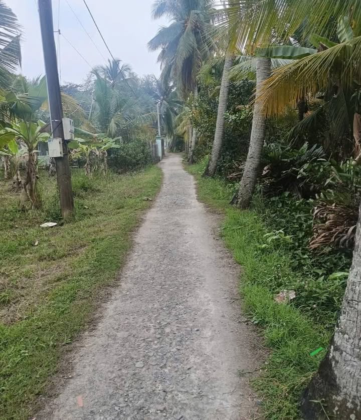 Đất nền hẻm 6A Nguyễn Chí Thanh, Bình Thủy 150m² giá 500 triệu - Đầu tư lý tưởng!