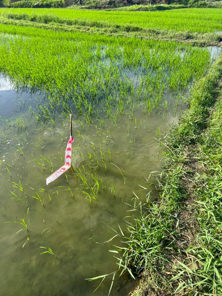 Đất nền Cam Hiệp Nam 720m² giá 640 triệu - Cơ hội đầu tư hấp dẫn!