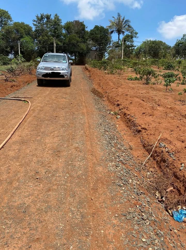 Đất nông nghiệp 1ha tại Komleo, Tân Lập - Giá 500 triệu/sào - Cơ hội đầu tư tuyệt vời!