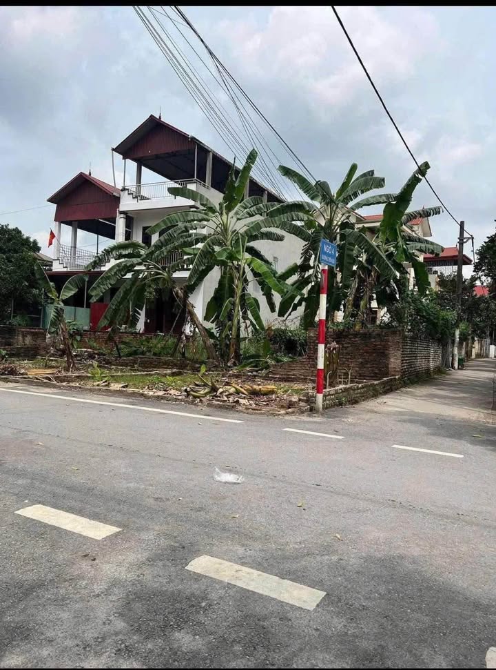 Đất nền thôn Tiến Bộ, 66m² giá 3 tỷ - Cơ hội đầu tư hấp dẫn!