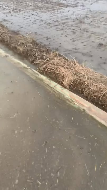 Đất nền 2000m² tại Ấp Ruộng Cạn, Xã Tân Hoà - Giá chỉ 400 triệu!