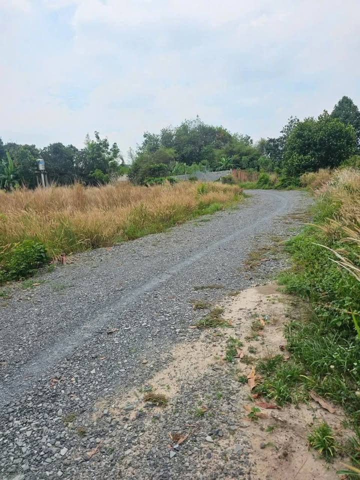 Đất nền Tân Hiệp, Tân Uyên 370m² giá chỉ 3,5 tỷ - Đầu tư sinh lời