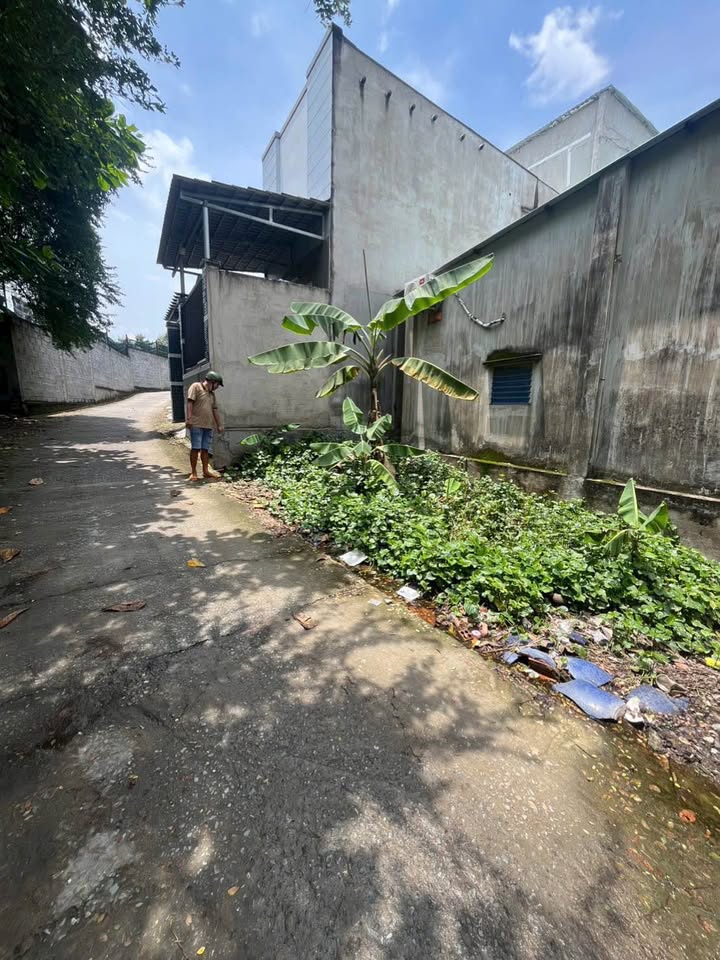 Nhà phố Bửu Long, Biên Hòa 22m² giá 80 triệu - Cần bán gấp trước Tết!