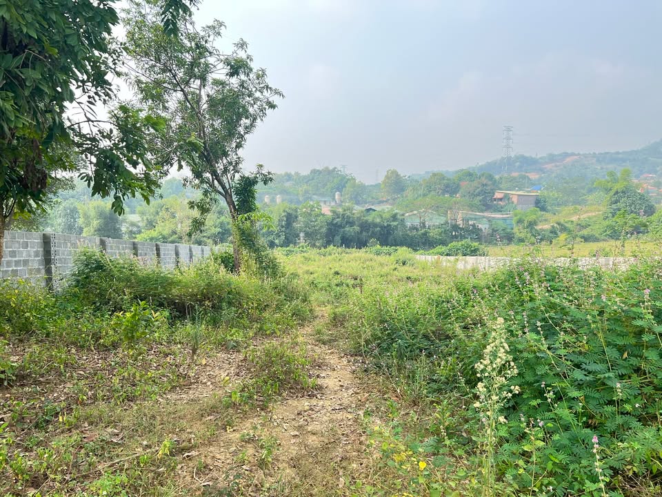 Lô đất Hòa Sơn, Lương Sơn, Hòa Bình 1200m² - Giá cả thương lượng hấp dẫn!