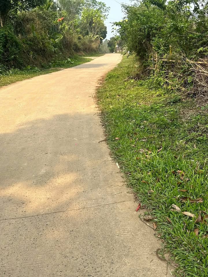 Đất nền phân lô tại xã Tân Lạc, Hòa Bình 3539m² giá chỉ 3.539 tỷ - Cơ hội đầu tư sinh lời!