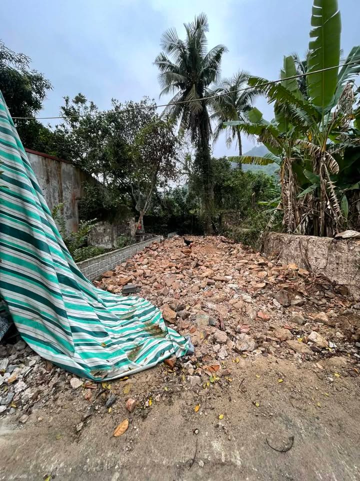 Đất nền phố Sơn Đông Lĩnh cũ 100m² giá chỉ 900 triệu - Cơ hội đầu tư tuyệt vời!