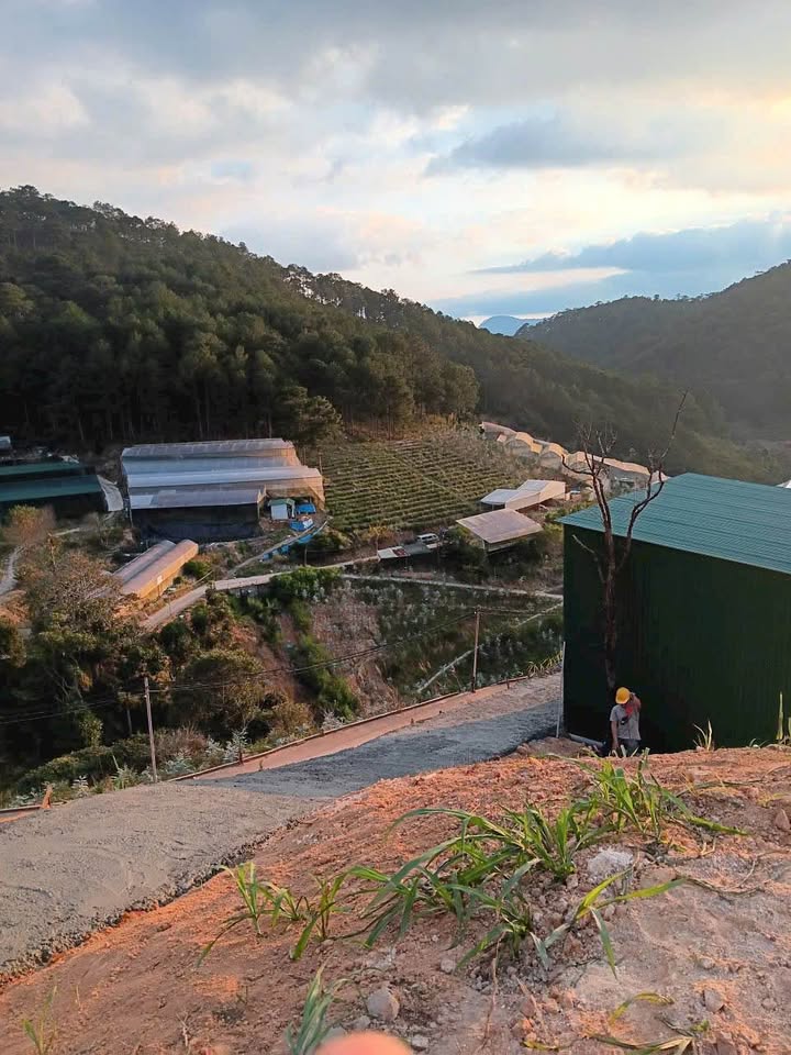 Đất nền 505m² tại Đường Hùng Vương, Đà Lạt giá 2.8 tỷ - View rừng thông tuyệt đẹp!