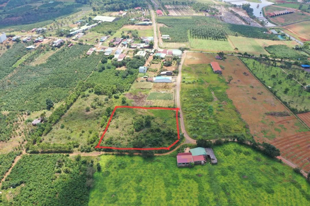 Đất nền 2 mặt tiền tại Đamb'ri, Bảo Lộc 5200m² giá 8 tỷ - Cơ hội đầu tư nghỉ dưỡng tuyệt vời!