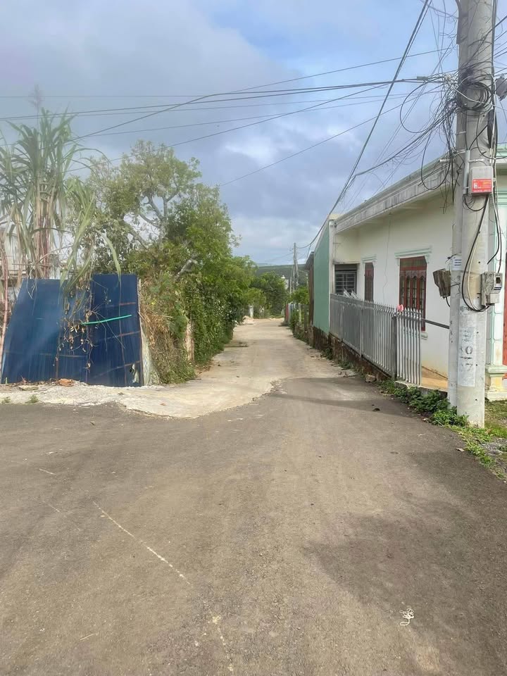 Đất thổ cư Thị trấn Di Linh 175m² giá 1.15 tỷ - Cơ hội đầu tư tuyệt vời!