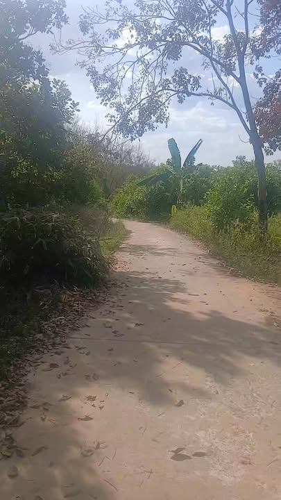 Đất nền 1ha1 Đồng Tâm 10.000m² giá 1.5 tỷ - Đường 2 mặt tiền thuận lợi!