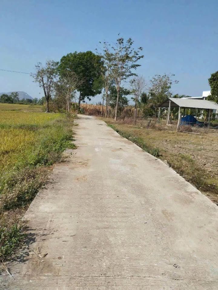 Đất Farm 360m² tại Xã Thuận Hòa, Huyện Hàm Thuận Bắc - Giá chỉ 250 triệu VND!