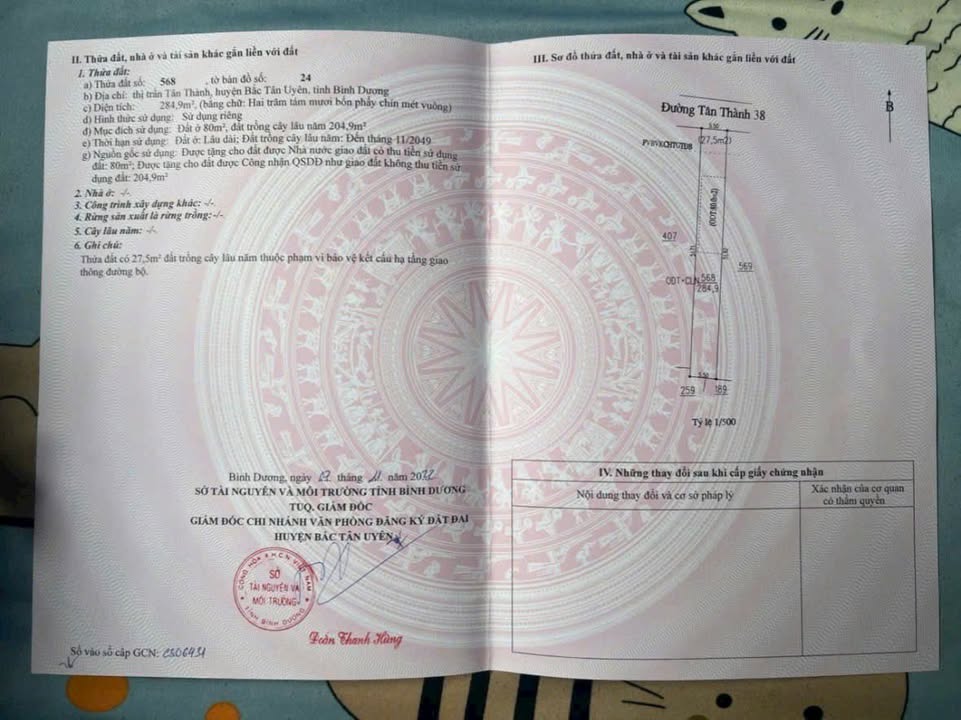 Đất nền mặt tiền đường nhựa thông Tân Thành 286m² giá 1.65 tỷ - Cơ hội đầu tư tuyệt vời!