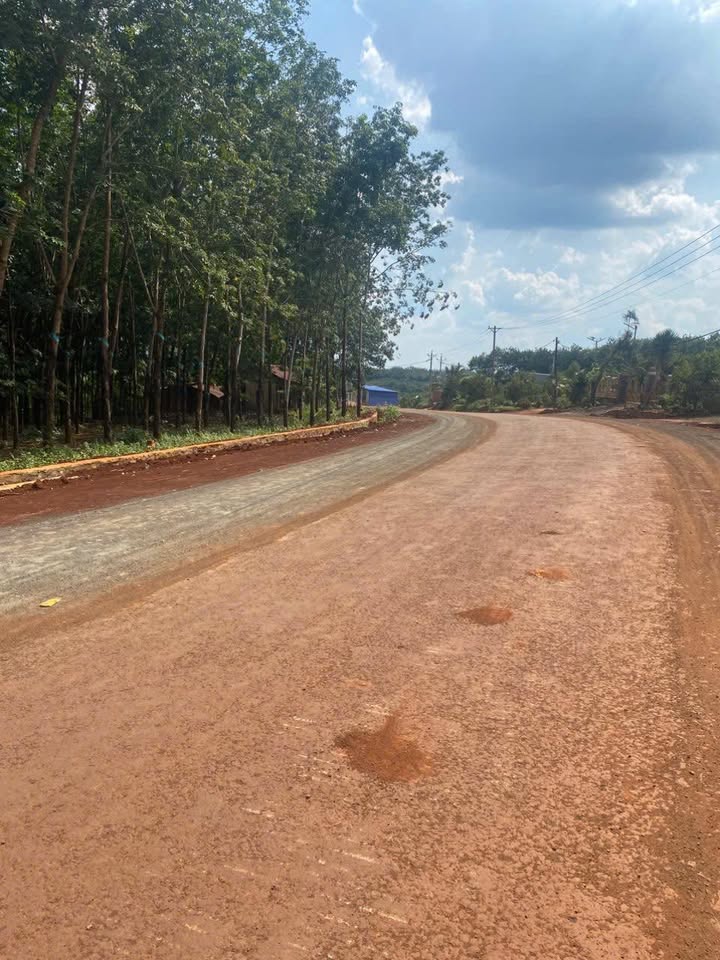 Đất nền Phước Long 3510m² giá 3 tỷ - Đường nhựa lớn, chính chủ thương lượng!