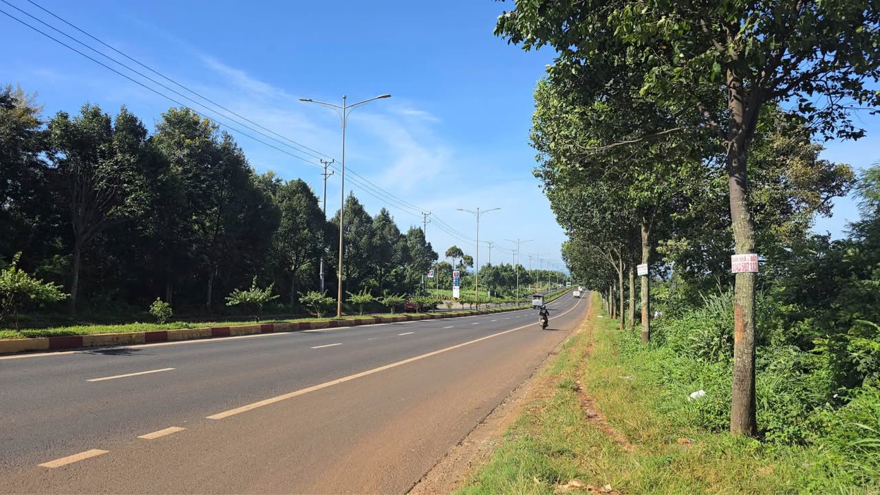 Kho bãi 1440m² hẻm cấp 1 đường vành đai 10/3 giá 11.5 tỷ - Pháp lý rõ ràng!