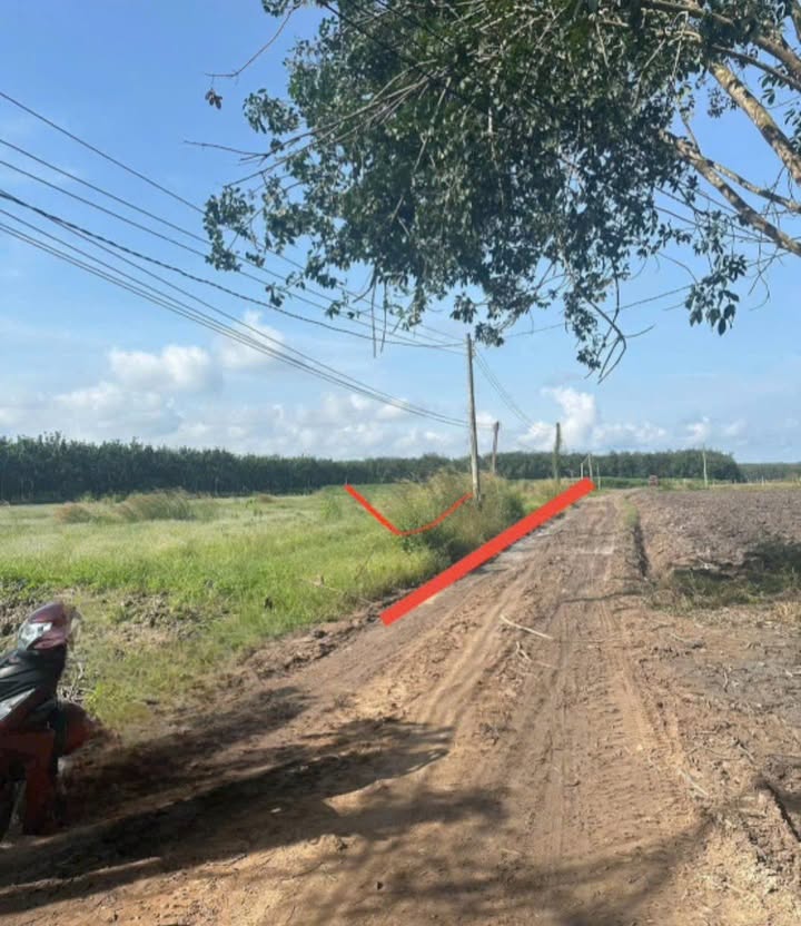 Đất nền 50.000m² tại ấp Tân Hội, huyện Tân Châu, giá chỉ 530 triệu - Cơ hội đầu tư hấp dẫn!