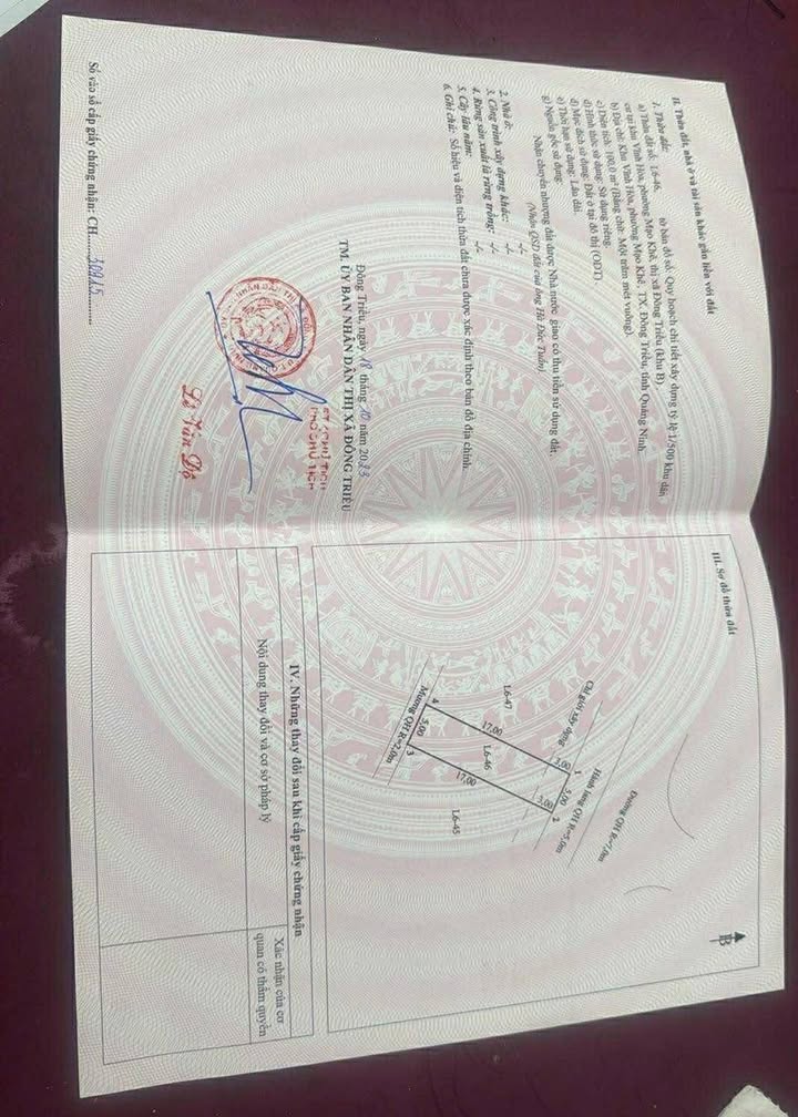 Đất nền Khu đô thị Vĩnh Hòa - Mạo Khê - 100m² giá chỉ 1 tỷ - Đường rộng 7m