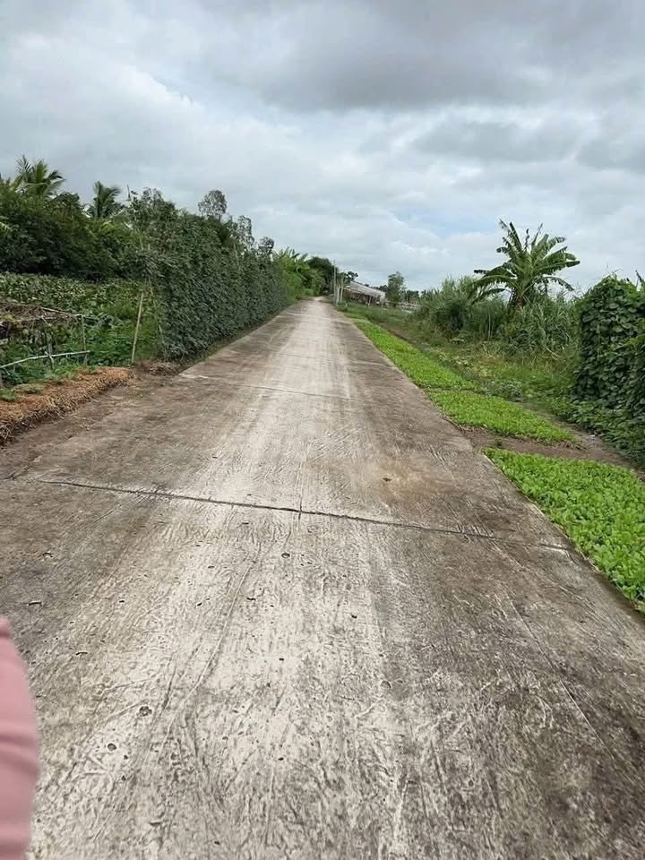 Đất nền Giục Tượng, An Giang 375m² giá 480 triệu - Đầu tư sinh lời ngay!