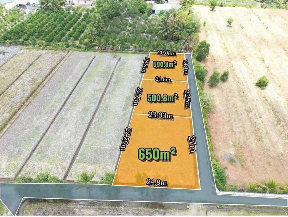 Đất vườn 500m² tại Bình Đức, Bến Lức - Giá chỉ 699 triệu - Đầu tư sinh lời!