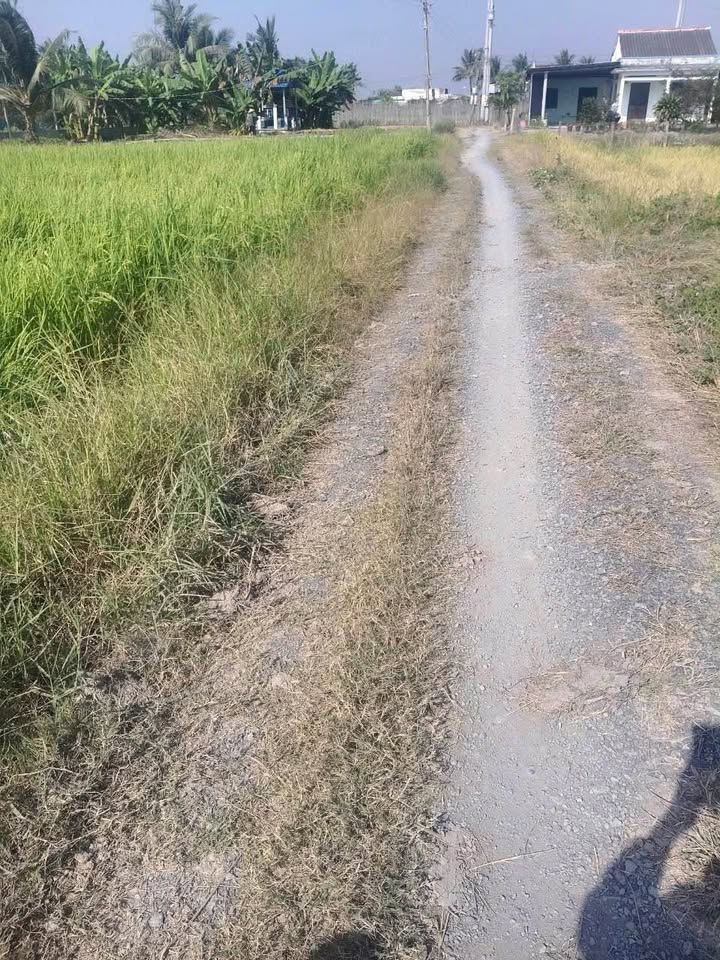 Đất nền Phước Tuy 1835m² giá 2.569 tỷ - Cơ hội đầu tư sinh lời!