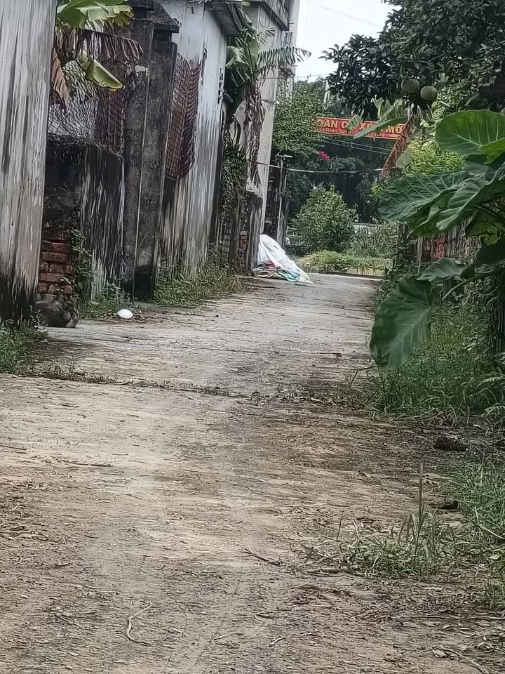 Lô đất Yên Lương 100m² giá chỉ 5xx triệu - Cơ hội đầu tư hiếm có!