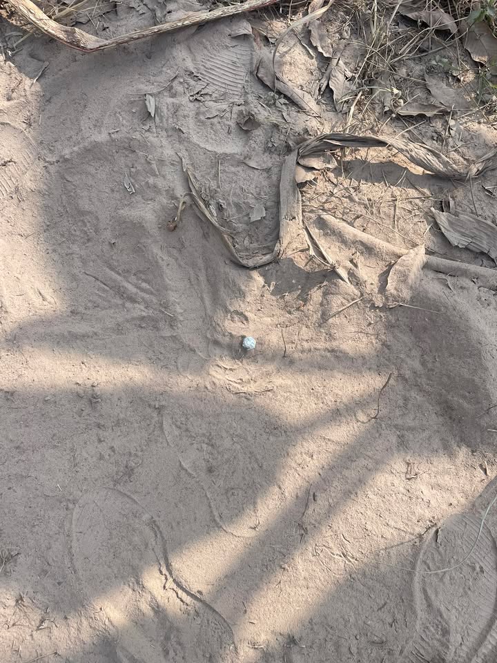 Đất nền Tân Hưng, Tân Châu 1500m² giá 52.5 tỷ - Đầu tư sinh lời cao!