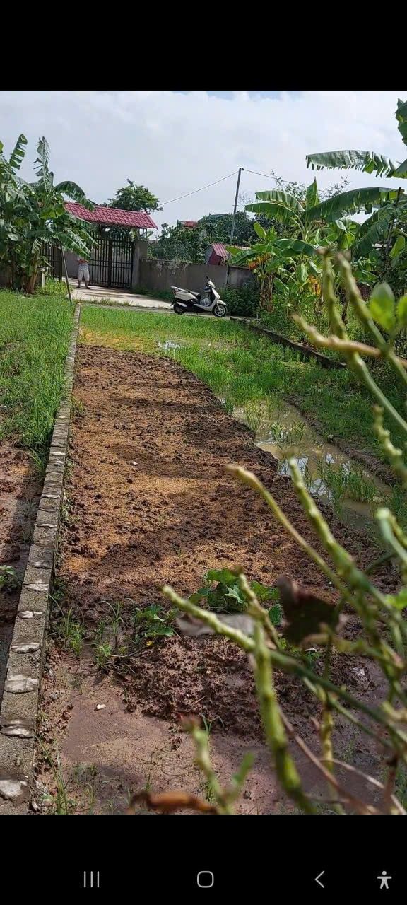 Đất nền thôn Phú Dư, xã Quỳnh Phú, 100m² giá 2 tỷ - Cơ hội đầu tư hấp dẫn!