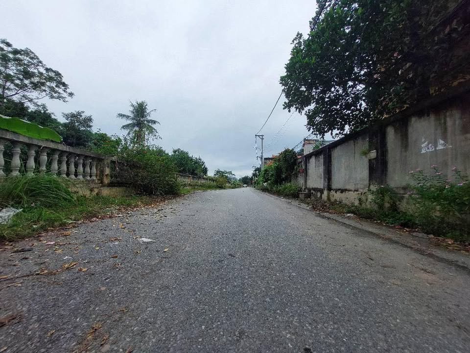 Đất dự án Chi Đông – Lệ Chi 60m² giá thỏa thuận - Cơ hội đầu tư không thể bỏ lỡ!