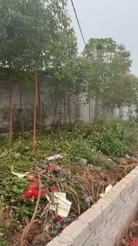 Đất thổ cư Phường Quý Sơn 117m² giá 1 tỷ - Nở hậu phong thủy đẹp