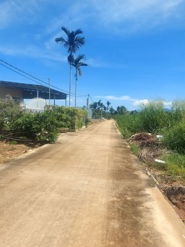 Đất thổ cư Tân Văn, Lâm Hà 200m² giá 550 triệu - Cần bán gấp!