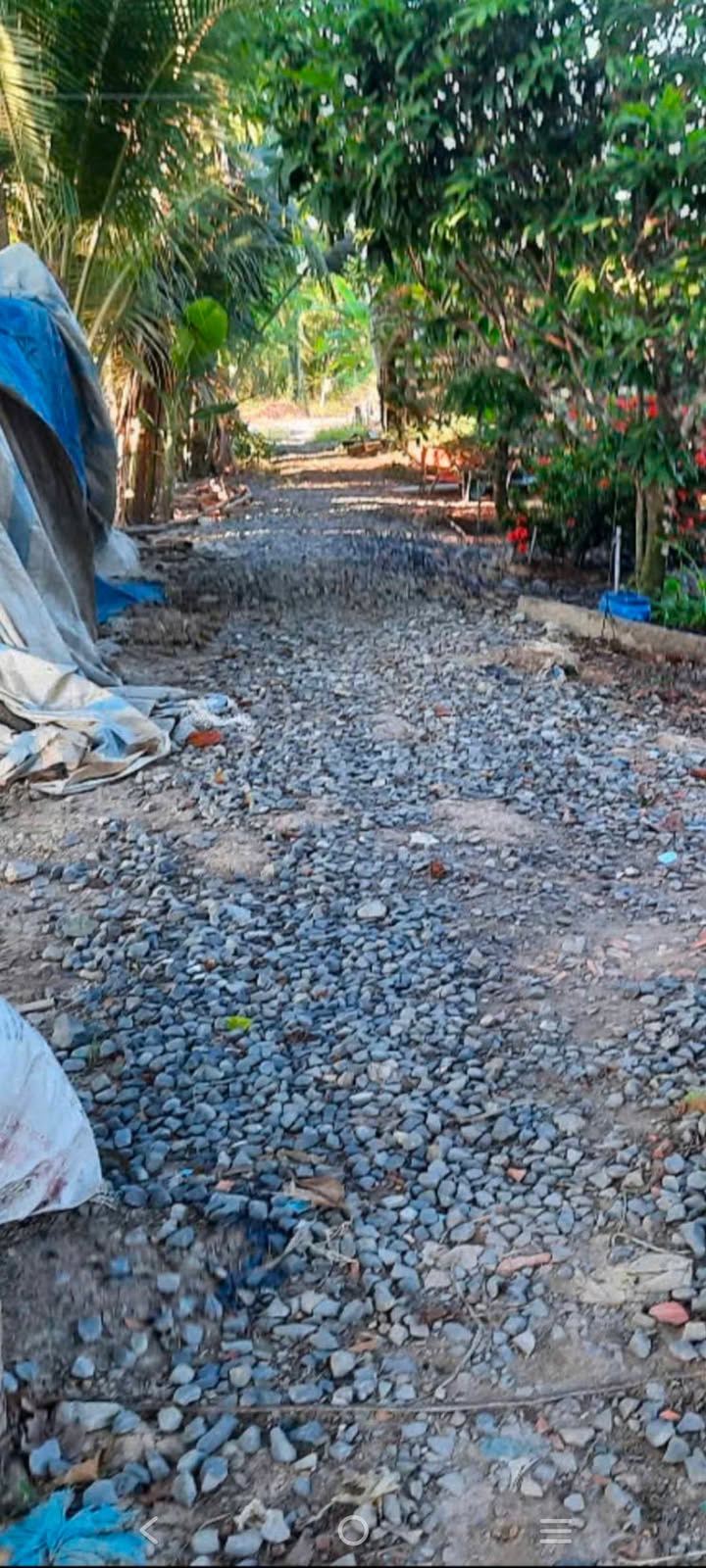 Đất nền 1635m² xã Long Hậu, huyện Lai Vung, giá chỉ 430 triệu - Cơ hội đầu tư tuyệt vời!