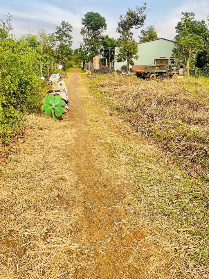 Đất nền xã Ia Sao, Ia Grai, Gia Lai 116m² chỉ 165 triệu - Cơ hội đầu tư tuyệt vời!