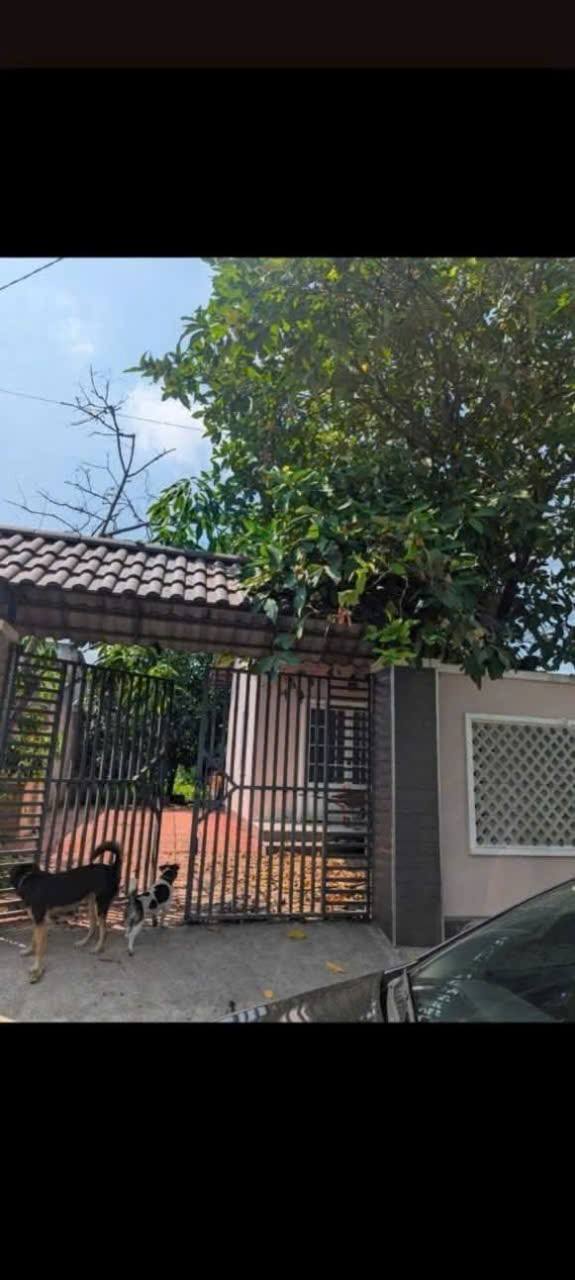 Nhà vườn 709 Nguyễn Thị Chắc, Củ Chi 492m² giá 4 tỷ - Vị trí đắc địa gần chợ