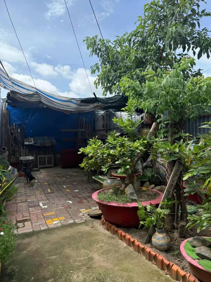 Đất tặng nhà hẻm ô tô Bắc Sơn, P.11 - 105m² giá chỉ 3 tỷ