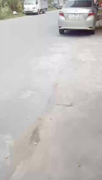 Đất mặt đường Quốc lộ ĐH 72, Huyện Quỳnh Phụ, 100m² - Tiềm năng phát triển lớn!