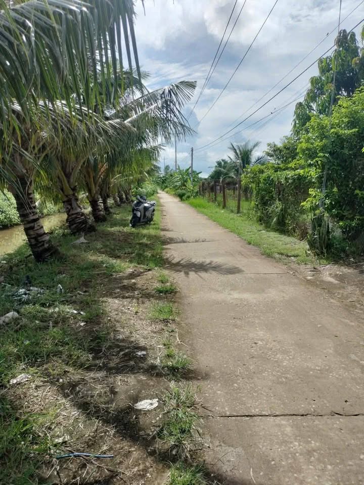 Đất nền đường Tập Đoàn 2, Phường 1, Bạc Liêu 3300m² giá 1.65 tỷ - Cơ hội đầu tư hấp dẫn!